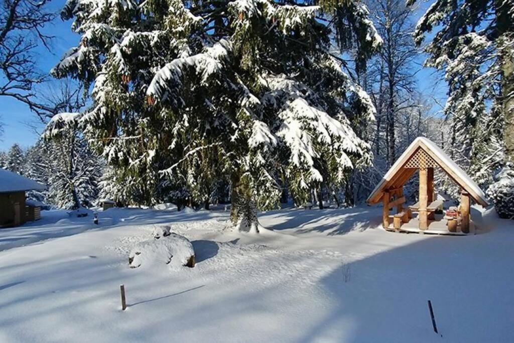 Le Petit Loup, Appartement Neuf Avec Jardin Gerbépal Exterior photo